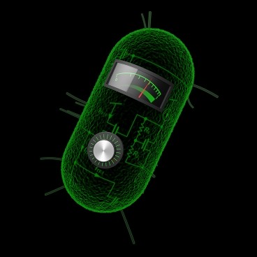 MIT engineers have created synthetic biology circuits that can perform analog computations such as taking logarithms and square roots in living cells. 
ILLUSTRATION COURTESY OF THE RESEARCHERS
