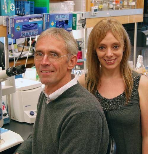 The Scripps Research Institute's Ulrich Mueller and Cristina Gil-Sanz were key authors of the new research report. Credit: The Scripps Research Institute