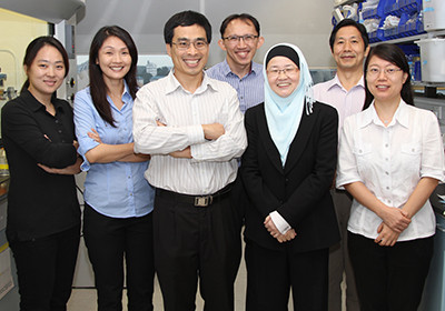 The IBN research team (from left): Dr Chan Du, Dr Ashley Lim, Dr Andrew Wan, Dr Meng Fatt Leong, Prof Jackie Ying, Dr Shujun Gao and Dr Hongfang Lu.