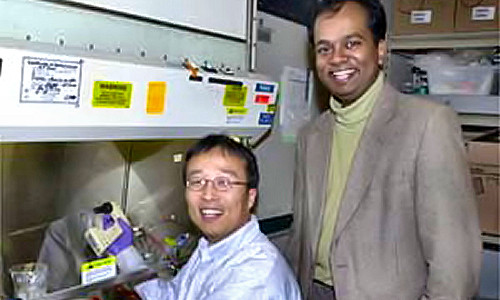 Dr. Dongfang Liu (seated) and Professor Ram Sasisekharan in their lab, where they have developed a new technique to attack acncer by designing drugs that affect the sugar coats on cells. PHOTO / DONNA COVENEY