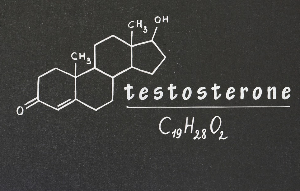 testosterone