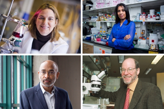 Four MIT faculty are among the the 168 fellows of the National Academy of Inventors elected in 2015. They have been honored for their 