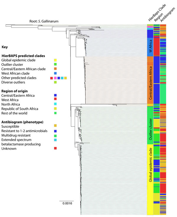 There are 3 epidemic types of S. Enteritidis based on 675 isolates; 2 African epidemic types and a global epidemic type. Credits: Nature Genetics