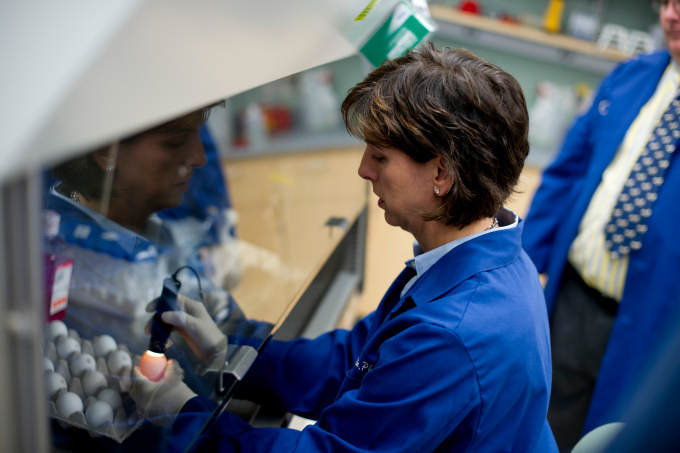 Elodie Ghedin, a professor in NYU's Department of Biology and College of Global Public Health