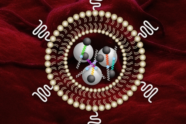 MIT researchers have designed nanosensors that can profile tumors and may yield insight into how they will respond to certain therapies.