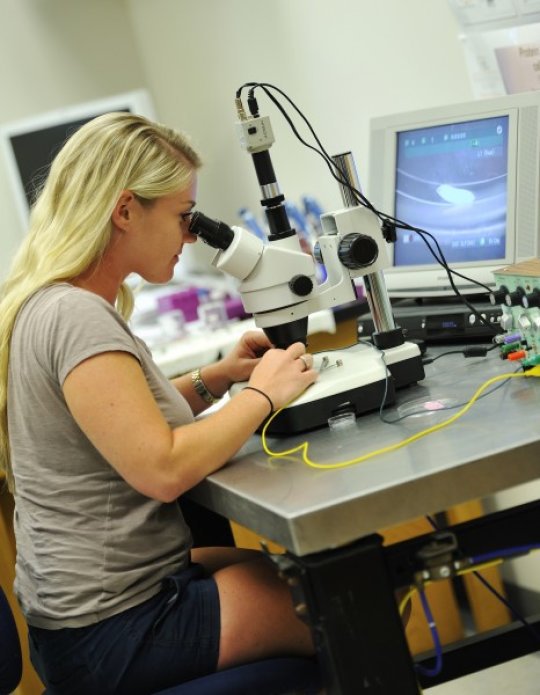 Monica Risley, co-lead author and a Ph.D. student in FAU’s Integrative Biology and Neuroscience program, as well as a student in the new International Max Planck Research School in Brain and Behavior. Credit: Florida Atlantic University