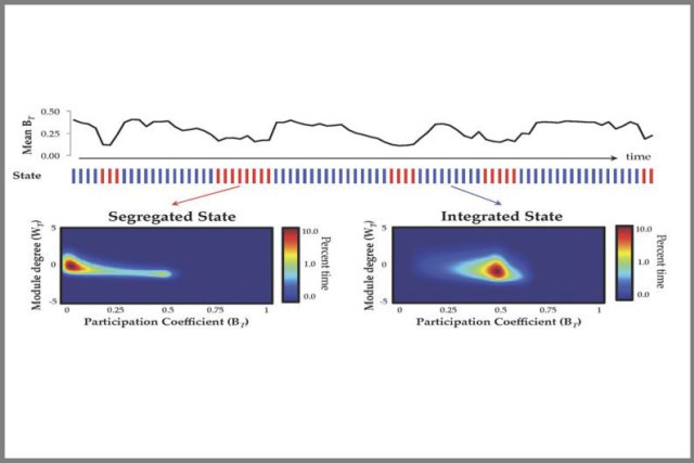 Fluctuations of network structure of the brain during rest (top panel). Fluctuations grouped by high similarity show two distinct states: one in which the brain was “segregated” and another in which the brain was “integrated.” Credit: Mac Shine