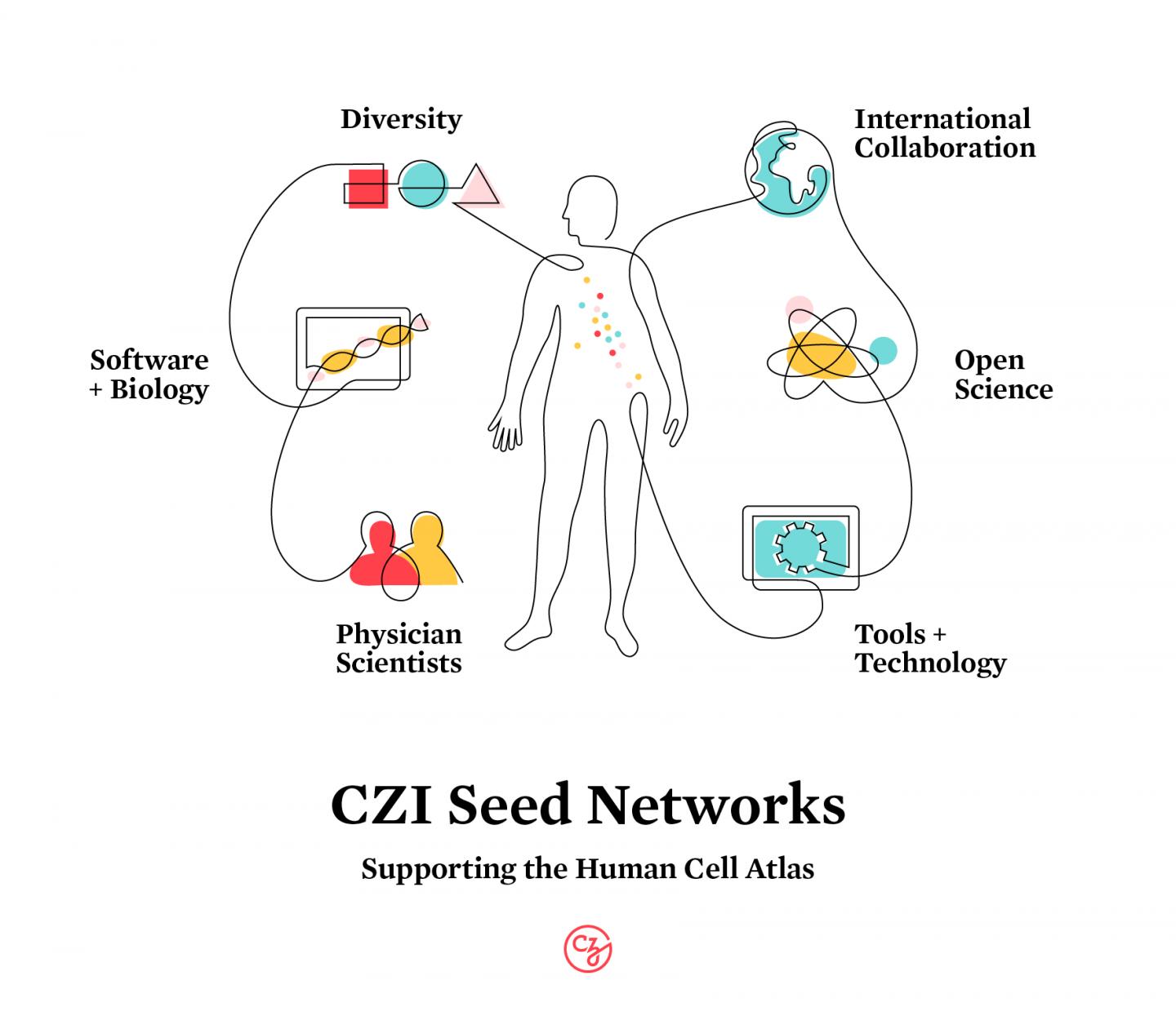 Chan Zuckerberg Initiative Awards $68 Million To Support The Human Cell ...