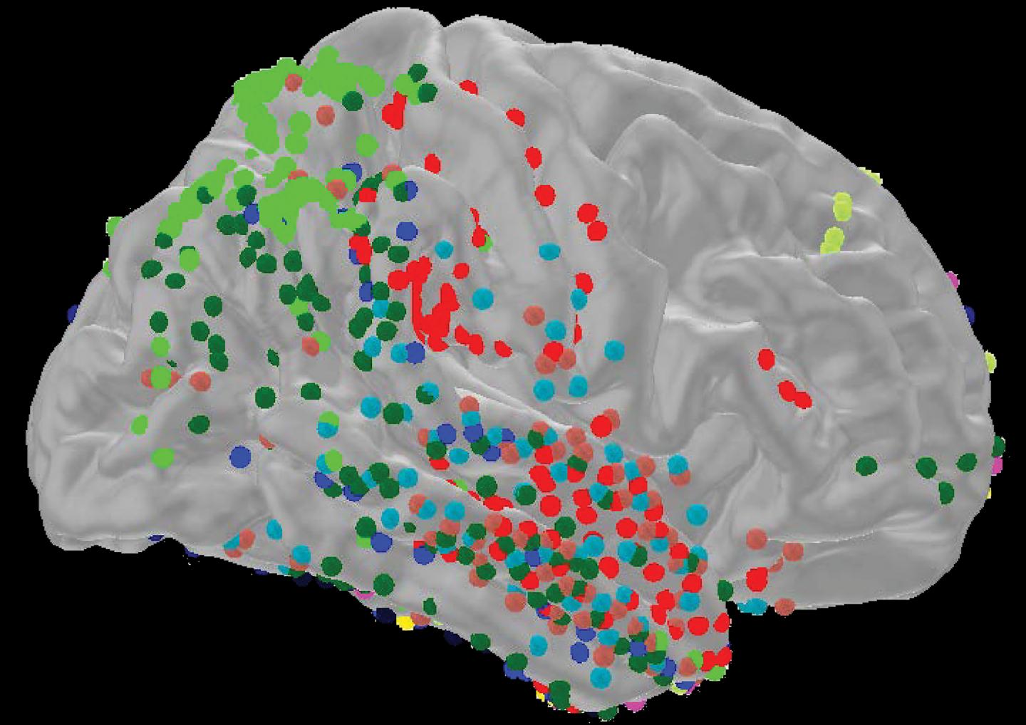 Researchers Reveal How Our Brains Know When Something's Different