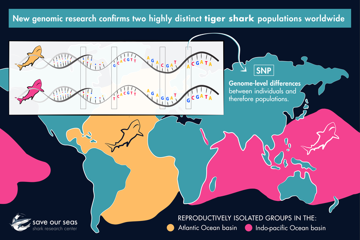 A Save Our Seas Foundation infographic