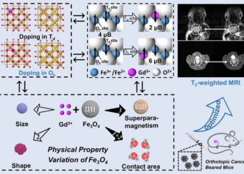 GdxFe3-xO4 Nanoclusters Help Imaging of Early Orthotopic Cancer