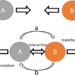 Schematic representation of an interaction-transformation principle. Upper case letters represent objects; lower case letters represent interaction/force carriers