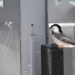 Mountain Chickadee at Feeding Array