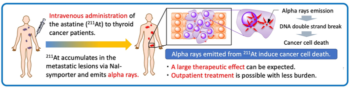 First in-human investigator-initiated clinical trial started for refractory thyroid cancer patients: Novel targeted alpha therapy using astatine