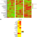 Cytokine profiling of in vitro CRC cell lines and TALL-104 co-cultures