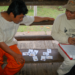 Field work in Amazonian forests