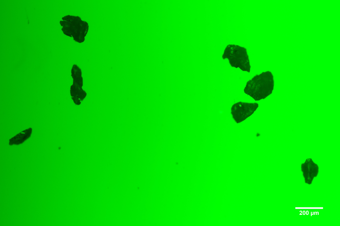 MICROPLASTIC