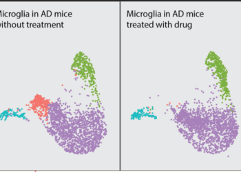 Single cell RNA-seq analysis of microglial response in a mouse model of Alzheimer’s disease.