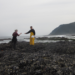 Oregon rocky intertidal zone