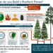 How to Build a Resilient Forest