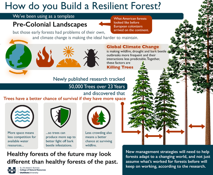 How to Build a Resilient Forest