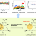 Chemoenzymatic synthesis and physico-chemical and biological functions of monocyclic polyketide compound, lankacyclinone C