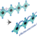 Role of phonons in cuprate superconductivity