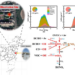 Underestimated Ozone Production in Cities: Researchers Observe Higher HOx with Self-developed Instrument