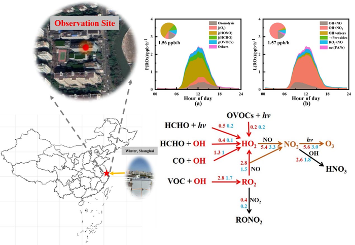 Underestimated Ozone Production in Cities: Researchers Observe Higher HOx with Self-developed Instrument