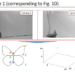 A butterfly at take-off and the trajectory of characteristic points