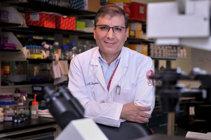 Dr. Lotfi Chouchane, Professor of Genetic Medicine, Professor of Microbiology & Immunology, Weill Cornell Medicine