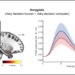 Loneliness Has a Different Neural Basis Than Social Anxiety