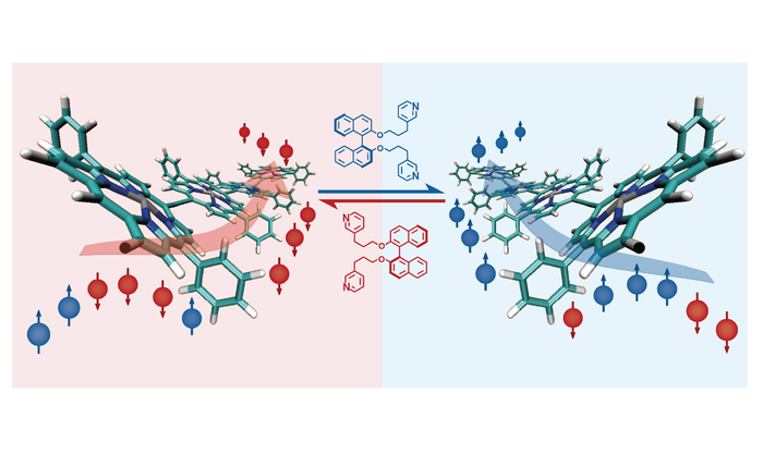 Chiral molecules sort electron spins