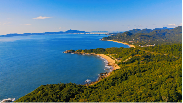 Only 15 per cent of global coastal regions remain intact - BIOENGINEER.ORG