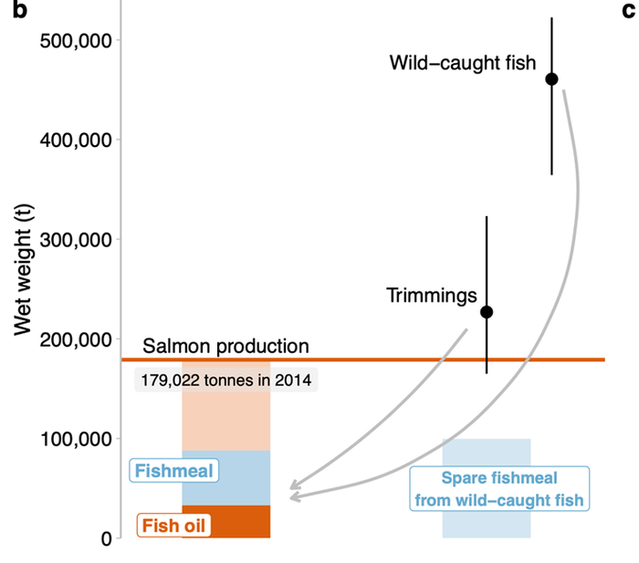 Fishmeal and fish oil inputs in Scottish farmed salmon production.