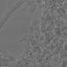 TEM of BN co-doped graphene