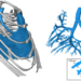 3D image of mouse lungs