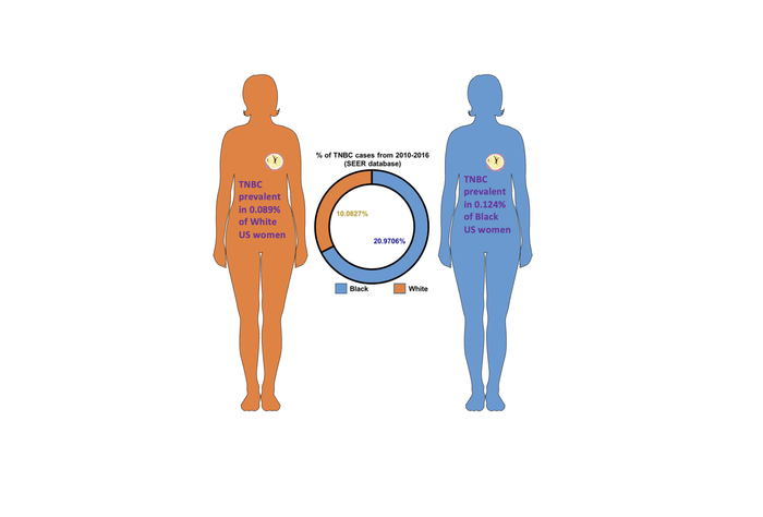 triple negative breast cancer