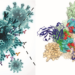 Mutations in SARS-CoV-2 spike protein receptor-binding domains may result in escape variants resistant to therapeutics and vaccines