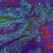 multi-color image of colon tissue