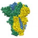 Spike protein structure