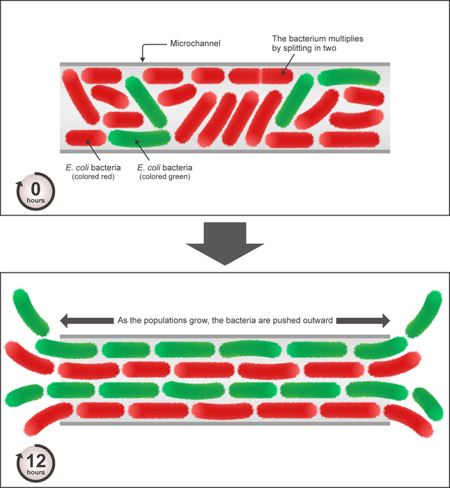 Schematic of lane-like patterns forming