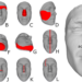 3D Facial Imaging for Gender-Affirming Surgery