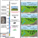 A) Timeline of the Stonehenge landscape and B) A representation of the development of vegetation history at Blick Mead