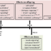 Summary of effects of bisphenol A exposure during Pregnancy on postpartum maternal rats and postnatal offspring