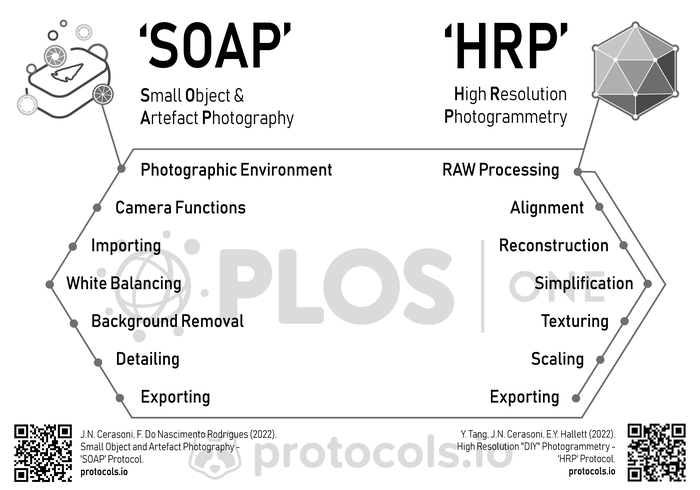 Workflow and computational steps.png