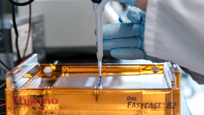 Scientist in the lab at Gladstone Institutes