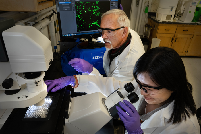 Scientists at microscope