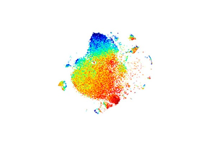 Protein expression marker intensities