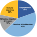 Novel therapeutic agents may reduce the oncogenesis of metastatic prostate cancer